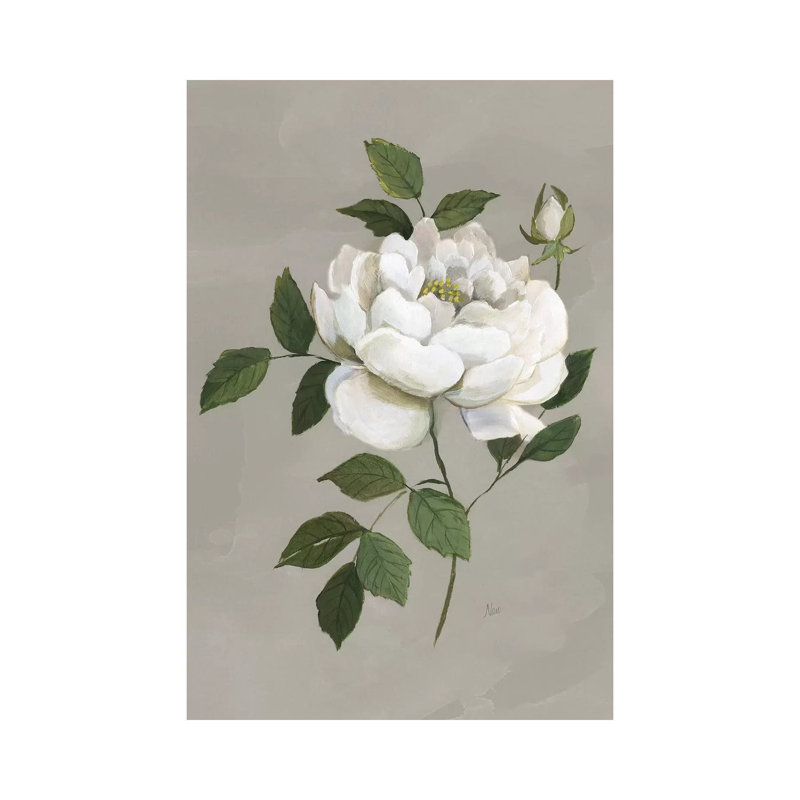 Botanical Rose by Nan - Print on Canvas, 101.6 cm H x 66.04 cm W x 1.91 cm D, Wrapped Canvas