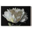 WHITE PEONY - Cavas enveloppés de galerie-120812142