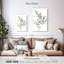 Eucalyptus blanc Harnek III-108635774