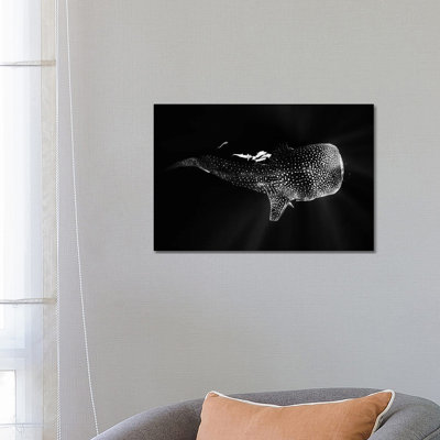 Black And Whale Shark by Barathieu Gabriel - Wrapped Canvas Print