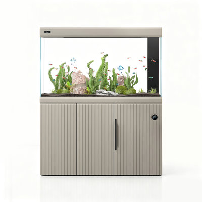 Minimalist Glass Ecological Aquarium Tank