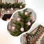 Ensemble de petites décorations de Noël en forme de boule de Noël 24 pièces 2 pièces-1542406133