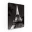 Avisha «Eiffel Tower at Night», reproduction de photo sur toile tendue-25324737