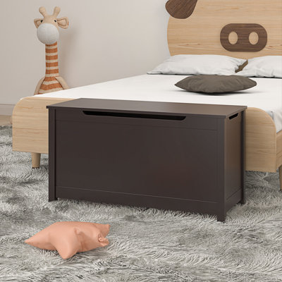 Toy Box Storage With Safety Hinged Lid, Entryway Cabinet by Ophelia & Co.