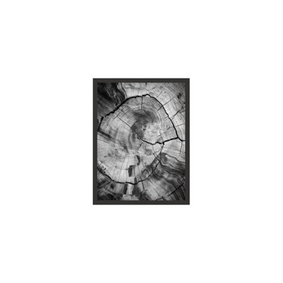Burnt Origins Grain