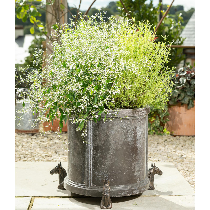 Nellie Weather Resistant Planter Feet