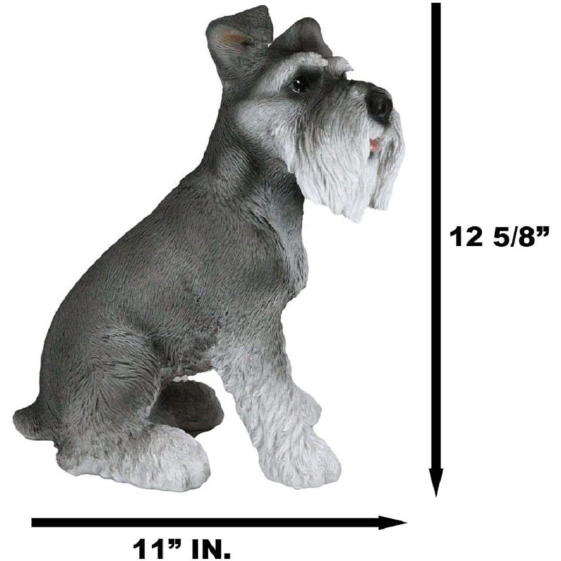 Gibsonburg, grand adorable chiot schnauzer