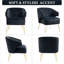 Fauteuil en velours l 26 po Hoise-1183193007