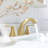 Widespread 2-handle Bathroom Faucet with Drain Assembly-50749538