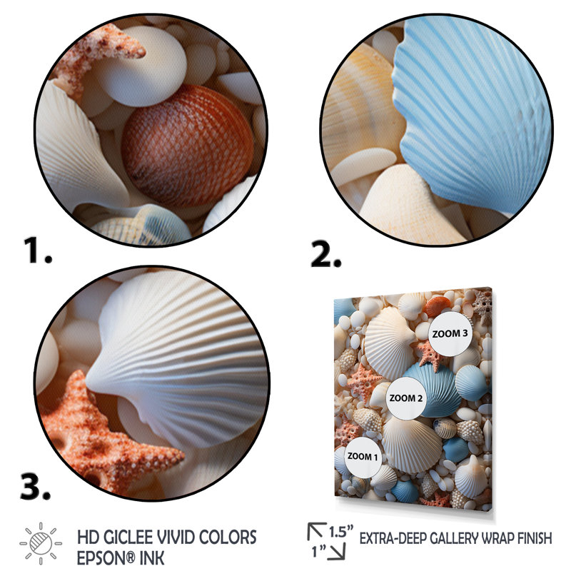 Décoration de plage photo coquillage II - décor mural animal côtier, H 40 po x l 30 po x P 1,5 po, Cadre photo noir