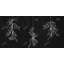 Mistletoe Botanical Black Framed Canvas - Home Decor Art-1853368751
