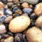 Beach Pebbles | Blue Canvas Landscape for Home Decor