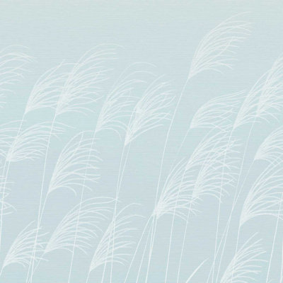 Miscanthus