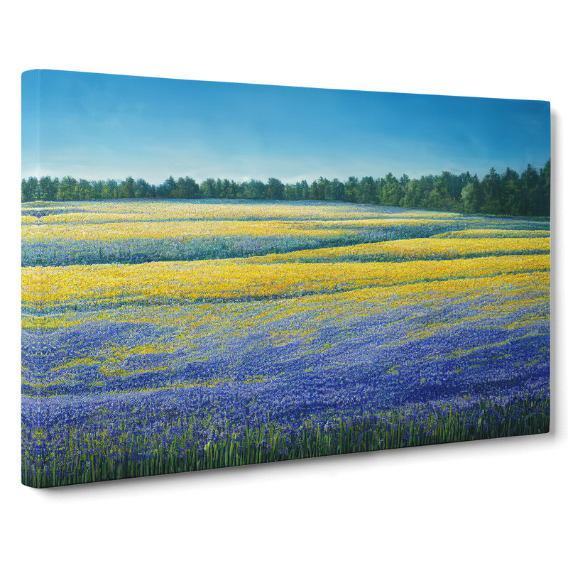 Timeless Bluebell Field - Wrapped Canvas, 40cm H x 60cm W x 3cm D