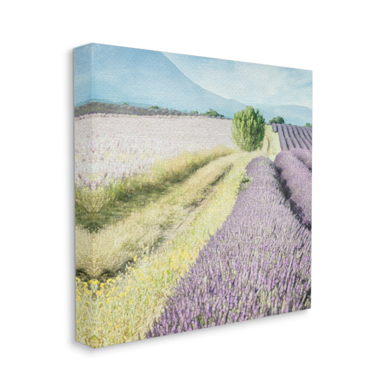 Black Framed Rustic Wood Lavender Fields Wall Art, 24 x 24