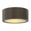 Luna 1 Light Outdoor Flush Mount-1672420017
