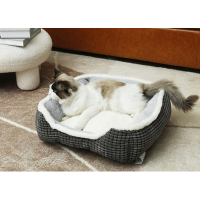 Lit pour animal de compagnie Tollette