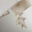 1 - Light Armed Sconce