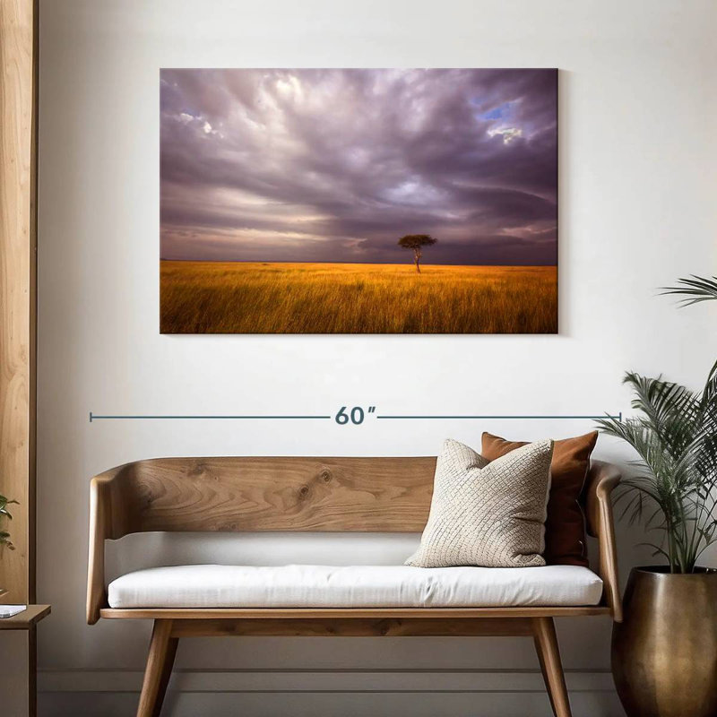 Alvord African Stormy Fields