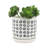 S/2 5/6" Aztec Planter W/ Saucer