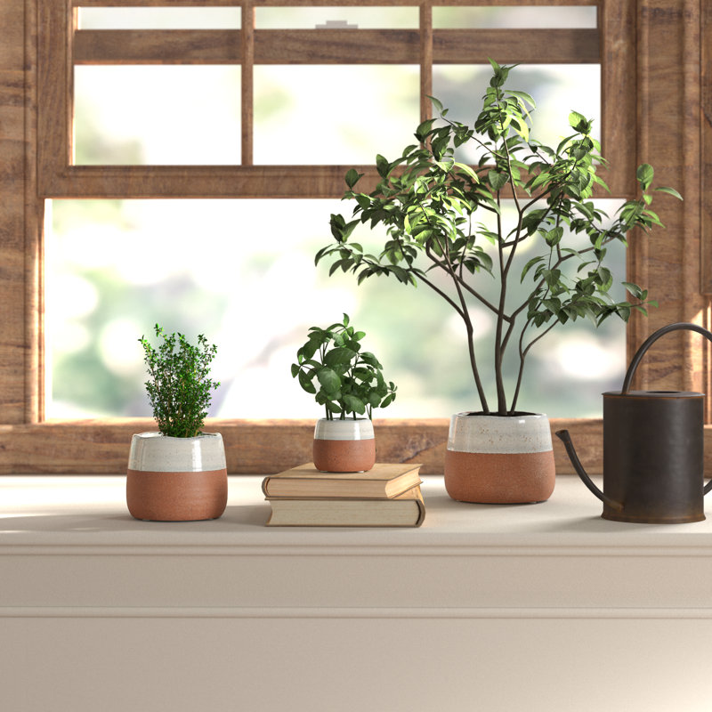 Ensemble de pots à fleurs en céramique 3 pièces Jalyn