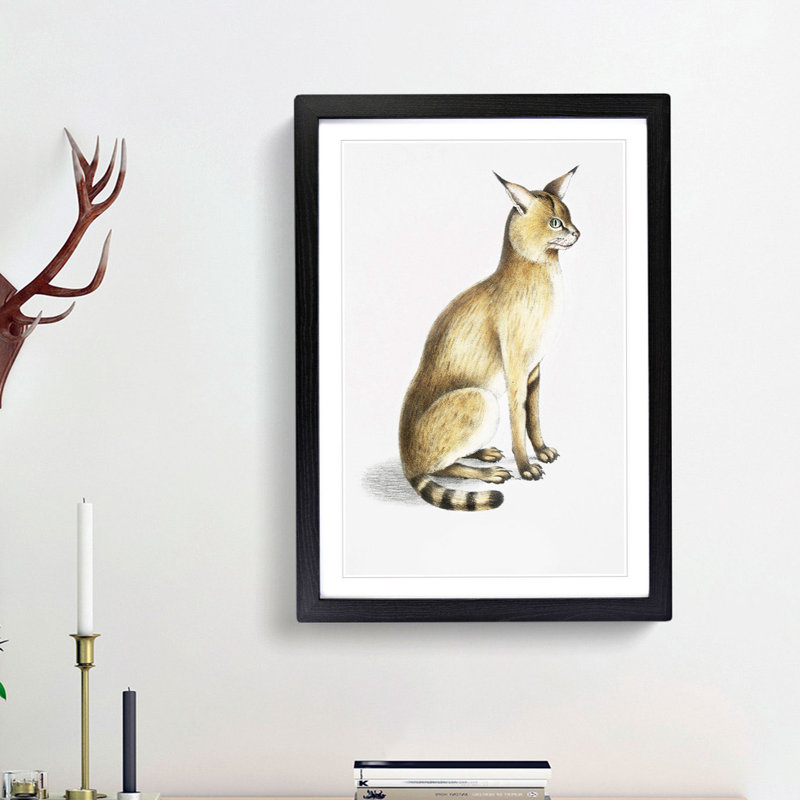 Allied Cat by John Edward Gray - Single Picture Frame Painting, 63cm H x 45cm W x 2cm D, Black Framed