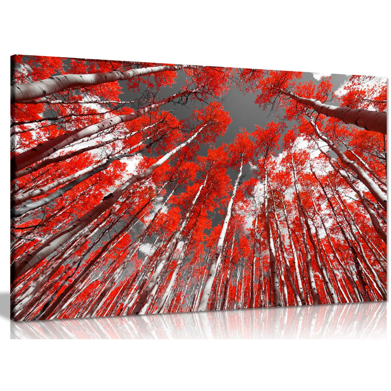 Wrapped Canvas Print, 41cm H x 61cm W