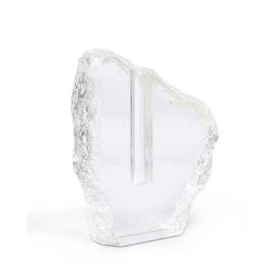 Acrylic Table Vase