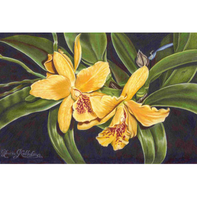 Orchidée vibrante I