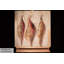 Acrylic Painting Prima Ballerina