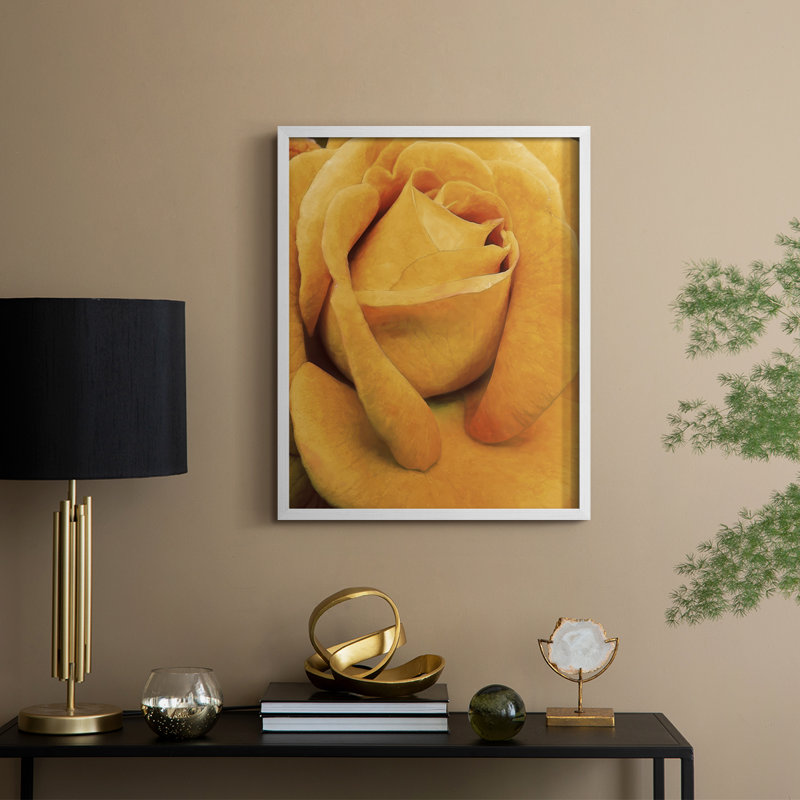 «Soft Flower Petals IV», reproduction encadrée - bois massif, H 21 po x l 17 po, Blanc