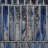 Fractal Brick 1.96 in. x 11.81 in. Polished Glass Subway Wall Tile (3.22 Sq. Ft. / Case)-90612645