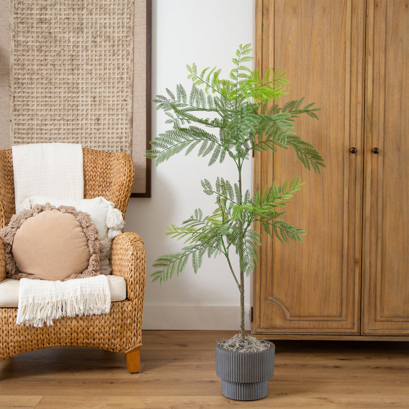 Artificial Minimalist Jacaranda Tree, 60" H x 27" W x 27" D