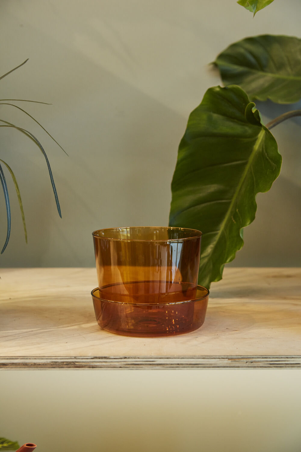 Callio Pot Planter, 5" H x 6.25" W x 6.25" D