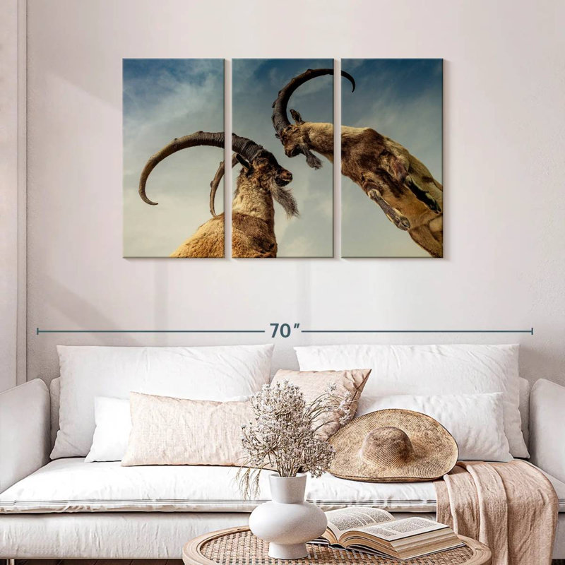 Brampt Goat Clash, 28" H x 45" W