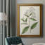 Toile encadrée de qualité supérieure Antique Botanical Collection-763440722