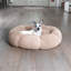Lit pour chien Tucker Murphy Pet ™ Daisy-1722139636-1722139635