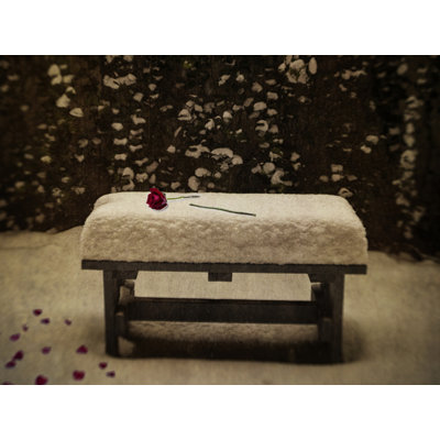 Roses In Snow Print by Robert Dodge