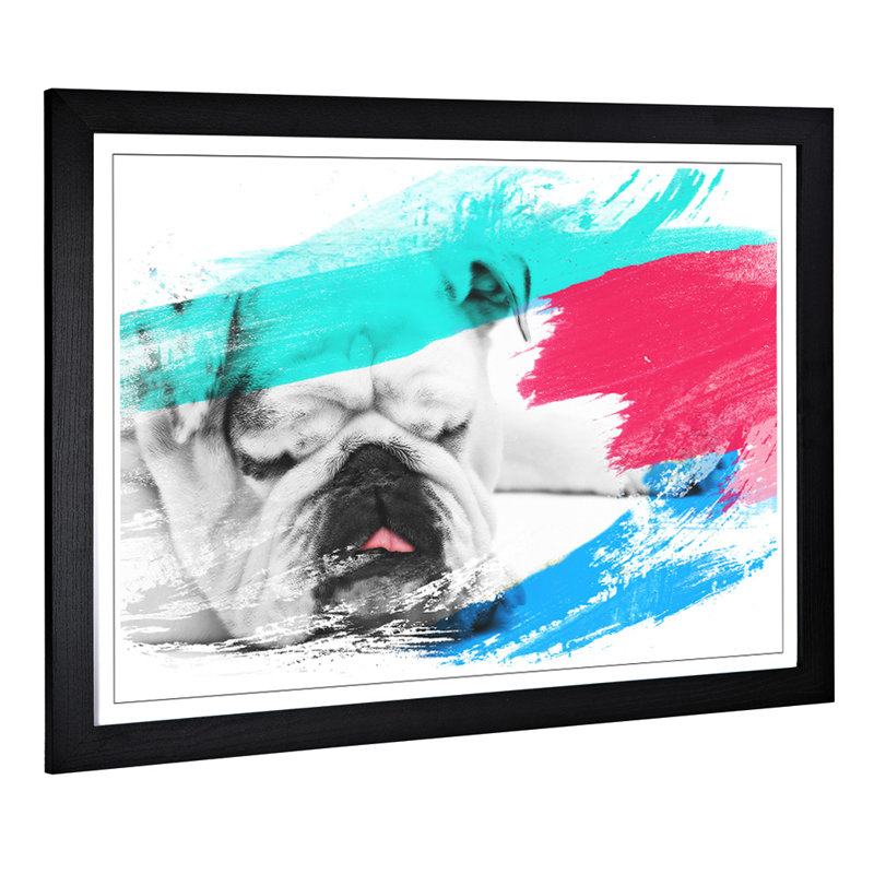 White British Bulldog Framed Art - Framed Print