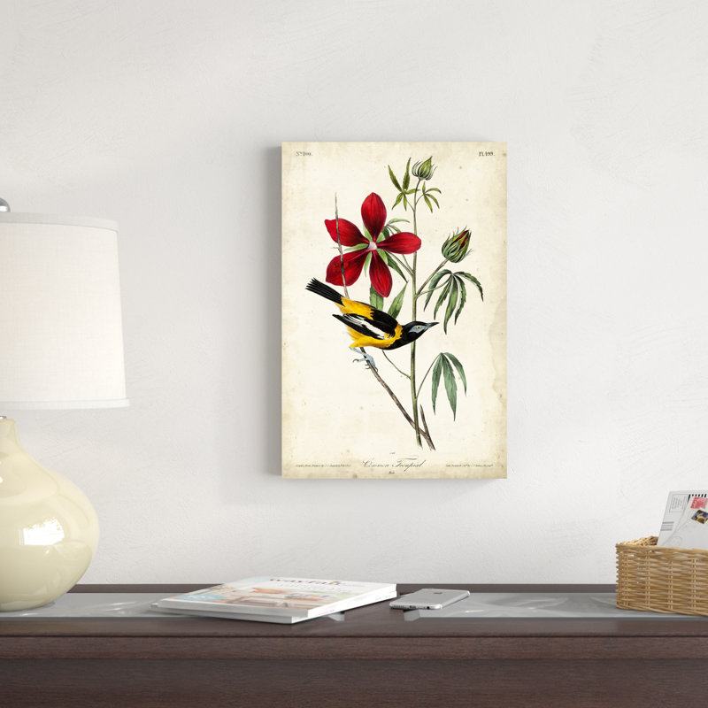 Audubon, oiseau et botanique I, H 18 po x l 12 po x P 1,25 po