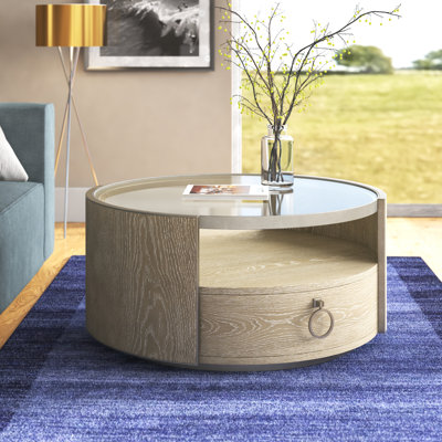 Caherty Cazenovia Coffee Table with Storage by Brayden Studio