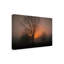 Art sur toile «ologic bol Wei Dai »-109334883