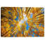 «Towering Aspens» par Darren White, art mural sur toile-868030349