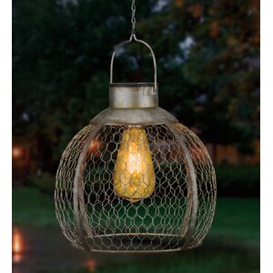 Edison 1-Light Outdoor Hanging Lantern