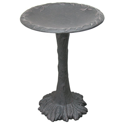 Bain d'oiseaux classique Tombolo