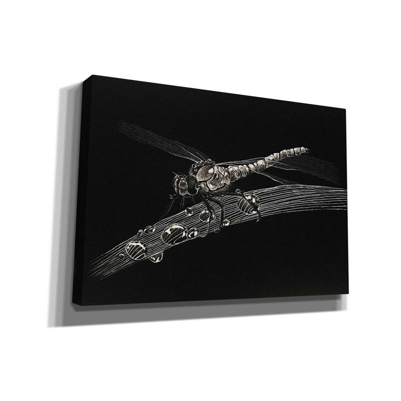 «Dragonfly» par Avery Multers, art mural sur toile, H 18 po x l 26 po x P 0,75 po