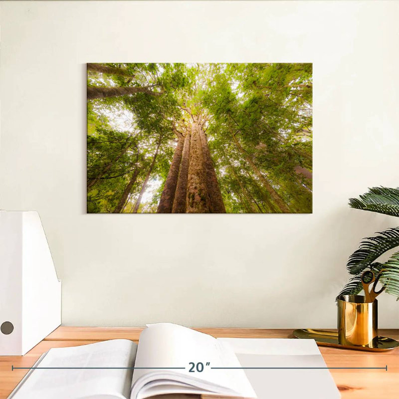Harnek Waipoua Kauri Trees, 8" H x 12" W