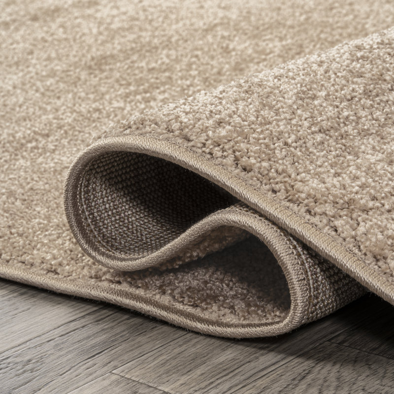 Tapis beige Asami, Tapis de couloir 2 pi x 12 pi