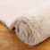 Alphones Washable Indoor Rug