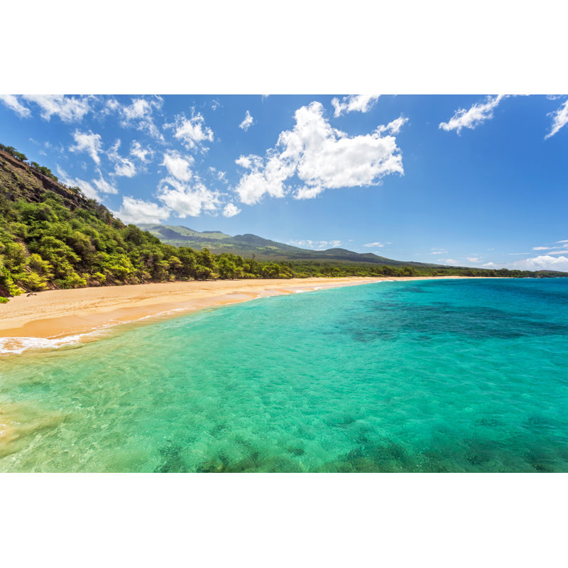 Tropical Paradise - Wrapped Canvas Print, 30cm H x 46cm W x 3.8cm D